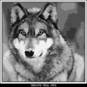 RavenNousWolf...'s Photo