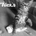 alexs's Photo