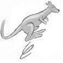 Kangaroo's Photo