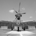 An-2's Photo