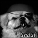 Vandal's Photo